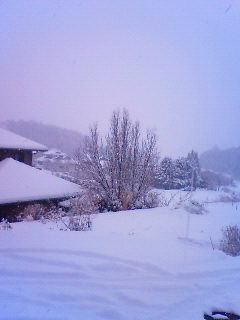 201102111107001.jpg