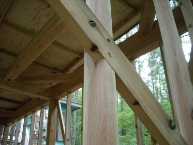 20100603 006.jpg